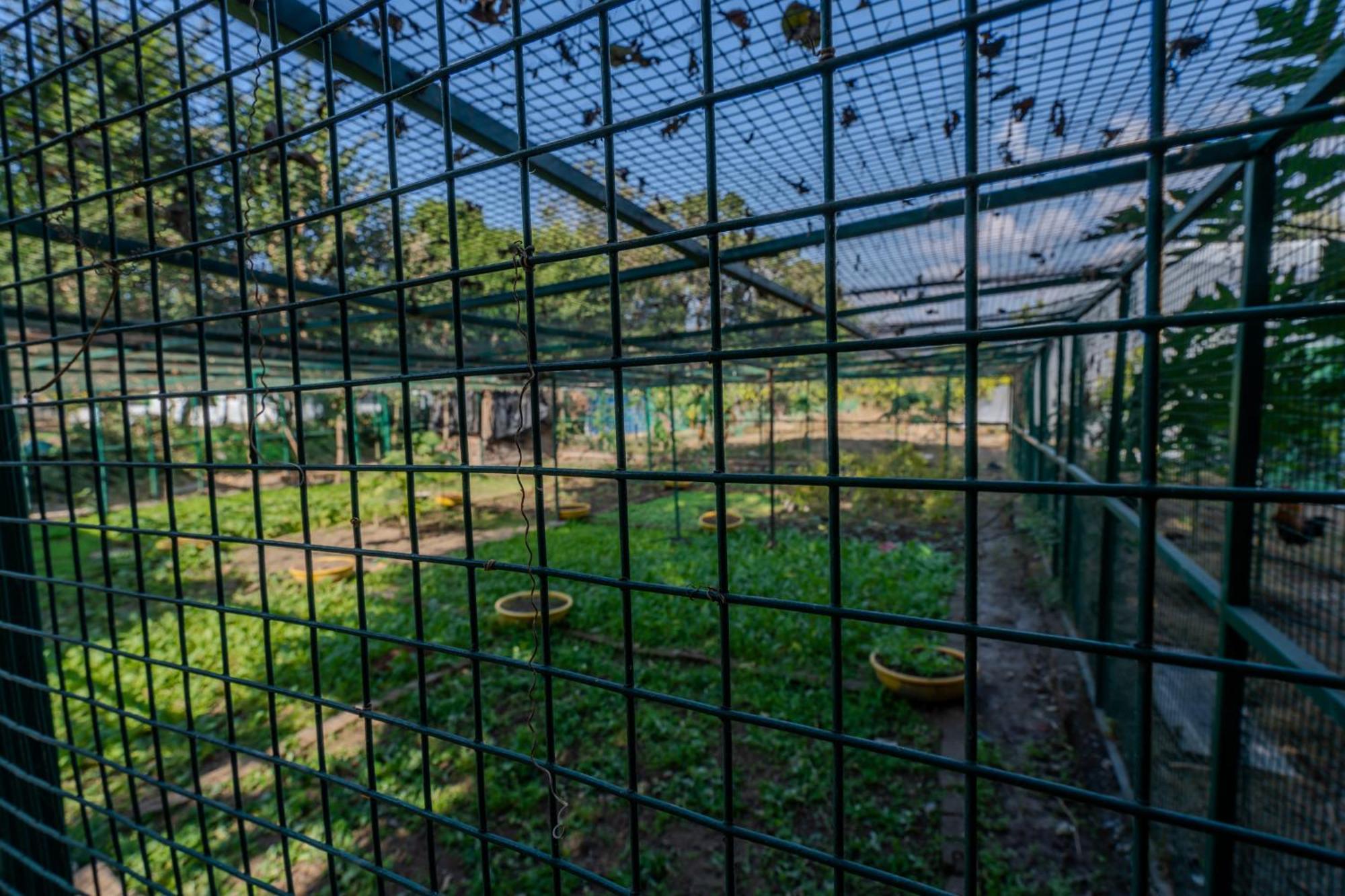 דהראדון Saffronstays Timber Crest מראה חיצוני תמונה